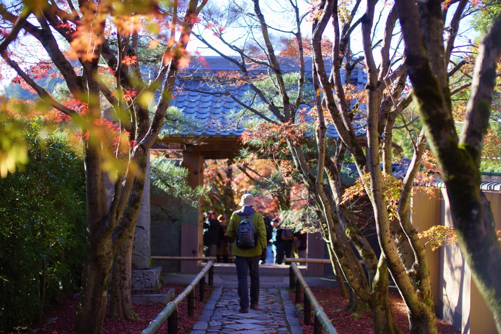 光悦寺