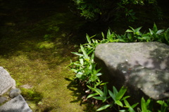 Rokkaen and Mr,Moroto's Park in Kuwana C