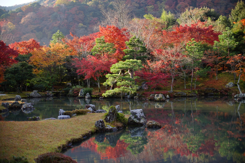 tenryuji kyoto