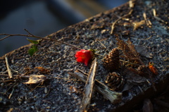 りかの作品（その２）