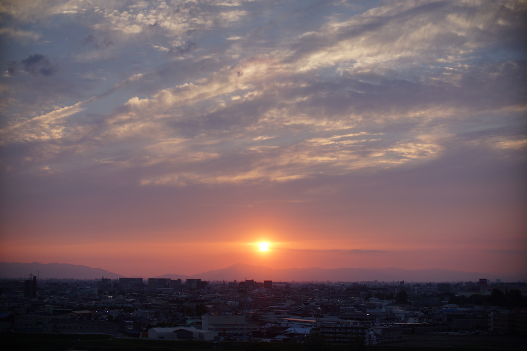 DSC06385