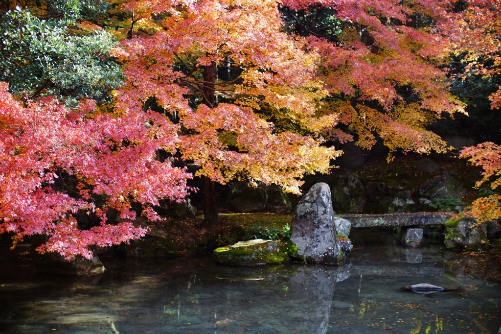 rengeji kyoto