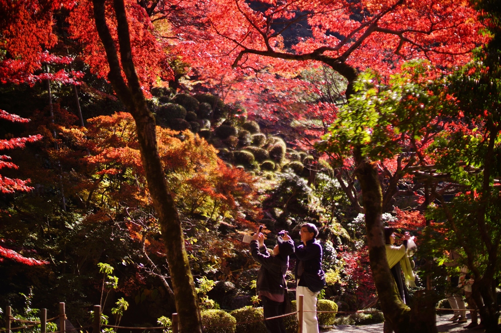 kongourinji　shiga