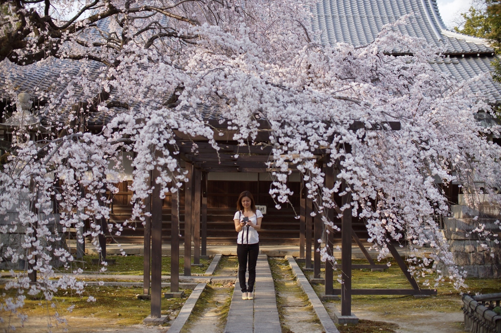 一宮　長誓寺