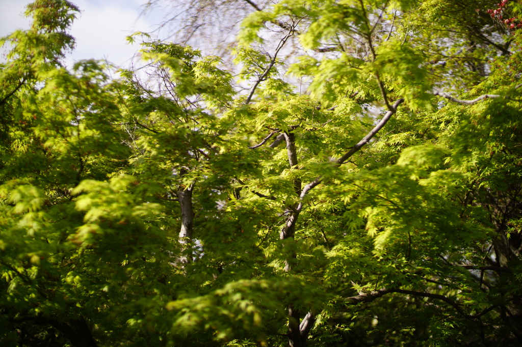 DSC02816