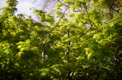 DSC02816