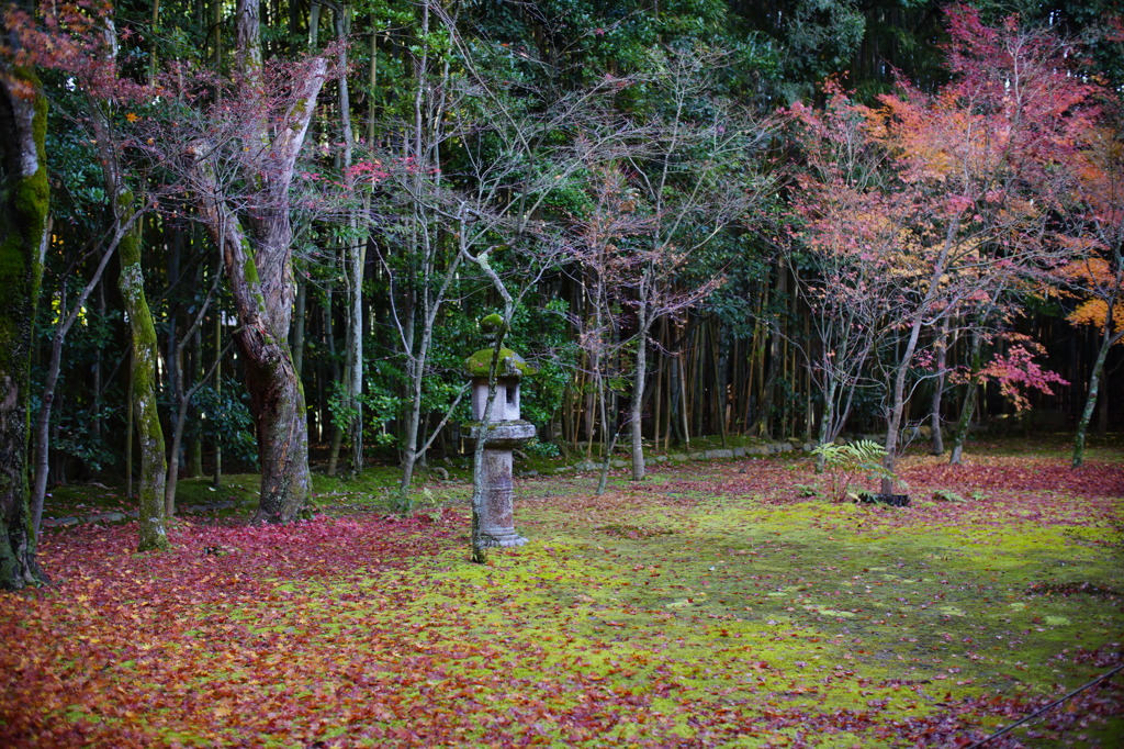 koto-in kyoto