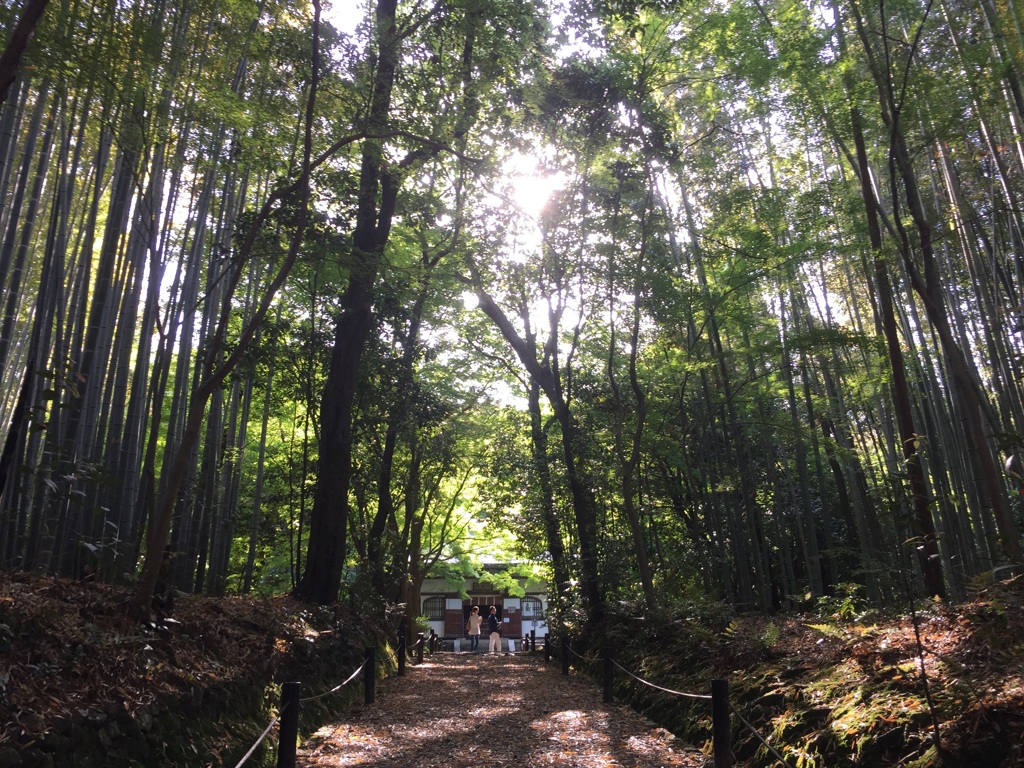 地蔵院