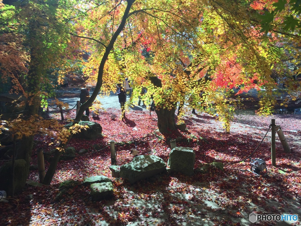 曽木公園