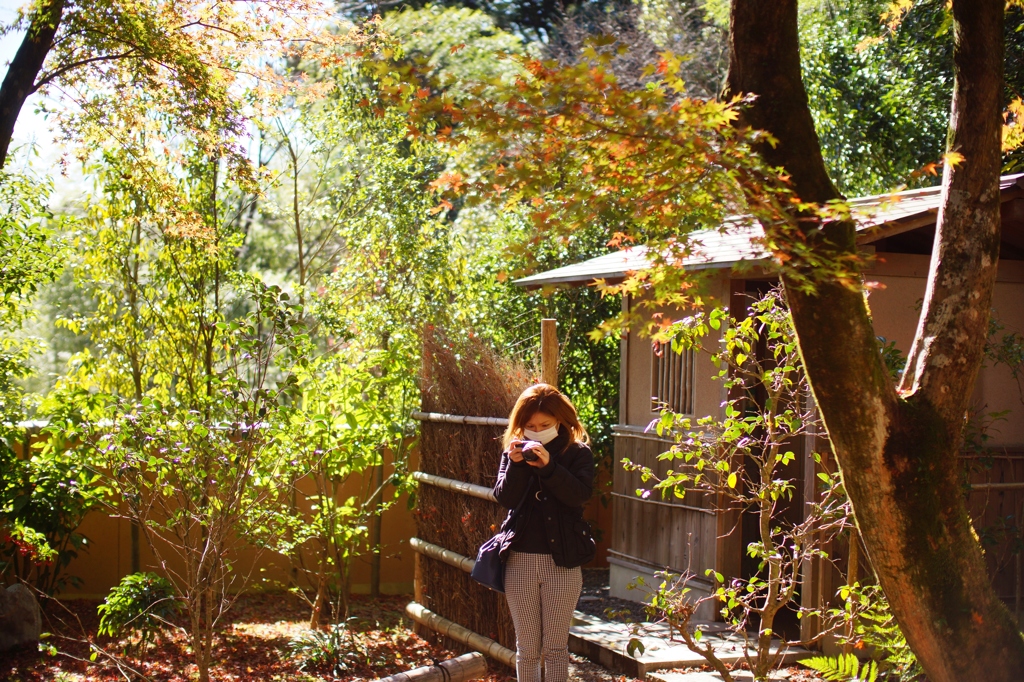 DSC00942