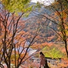 DSC01367