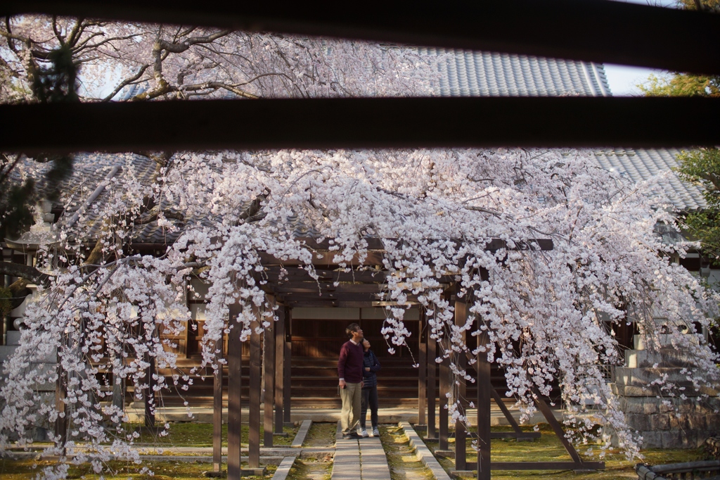 一宮　長誓寺