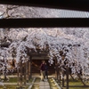 一宮　長誓寺