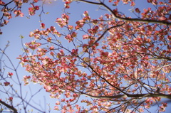 DSC02839
