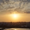 DSC03001