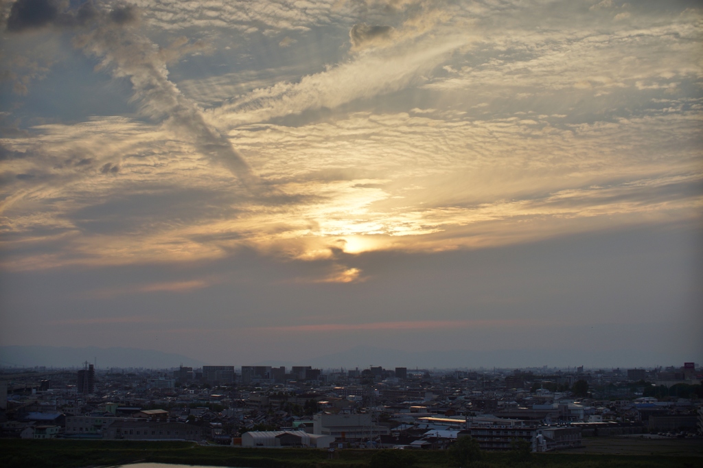 DSC06302