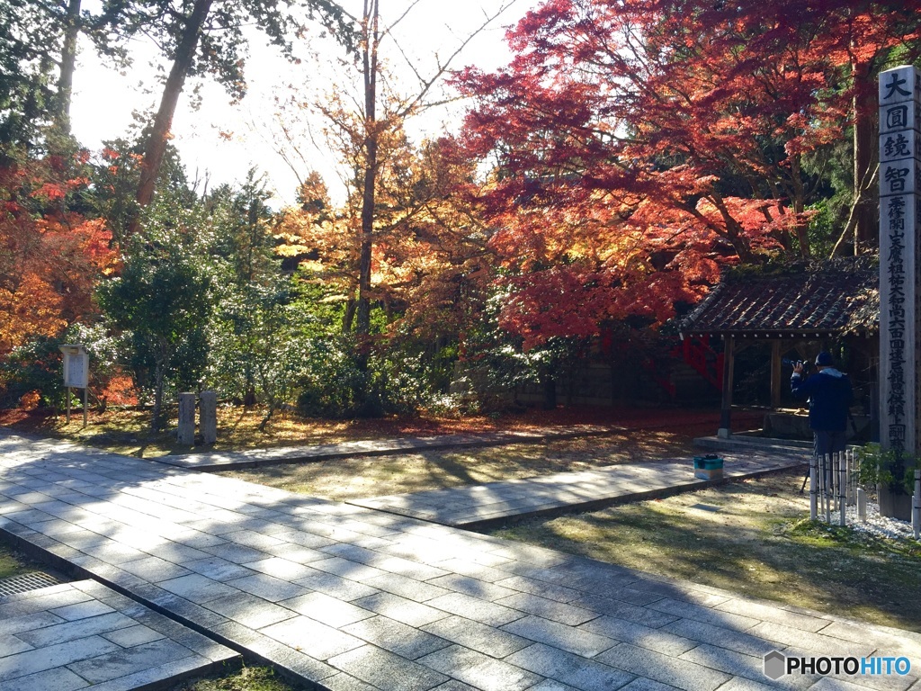 愛知県 瀬戸市 雲興寺
