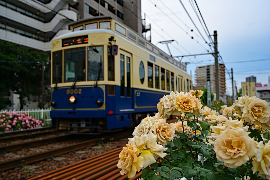 都電荒川線