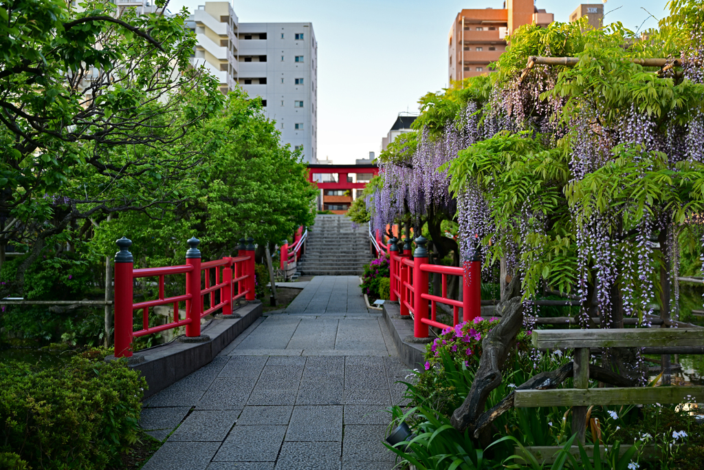 静かな参道