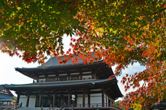 増上寺の紅葉