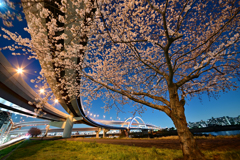 五色桜大橋　Ⅱ