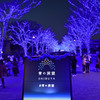 渋谷　青の洞窟
