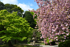 両手に花