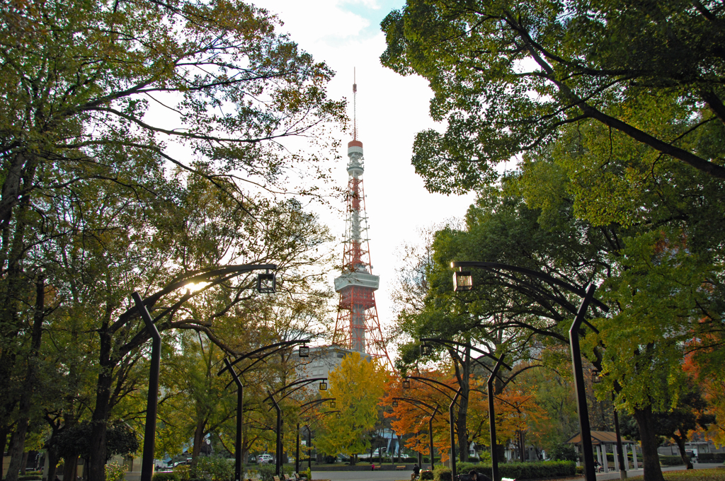 芝公園からの東京タワー