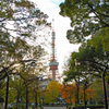 芝公園からの東京タワー