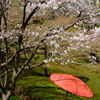 八芳園の春