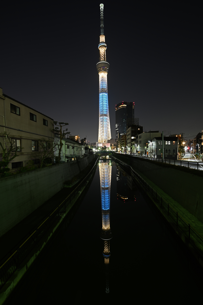 スカイツリー夜景