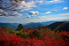 紅葉