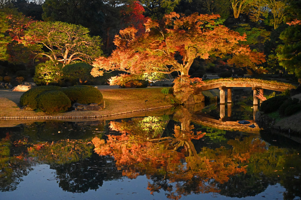 池に写るもみじ