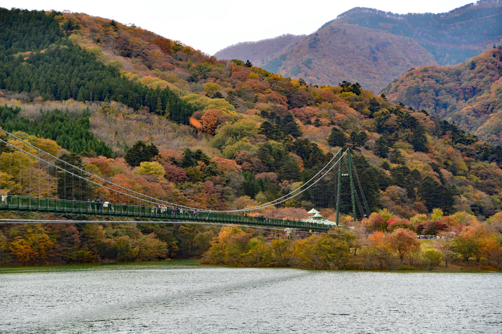 もみじ谷大吊り橋