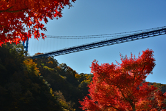 空に架かる橋