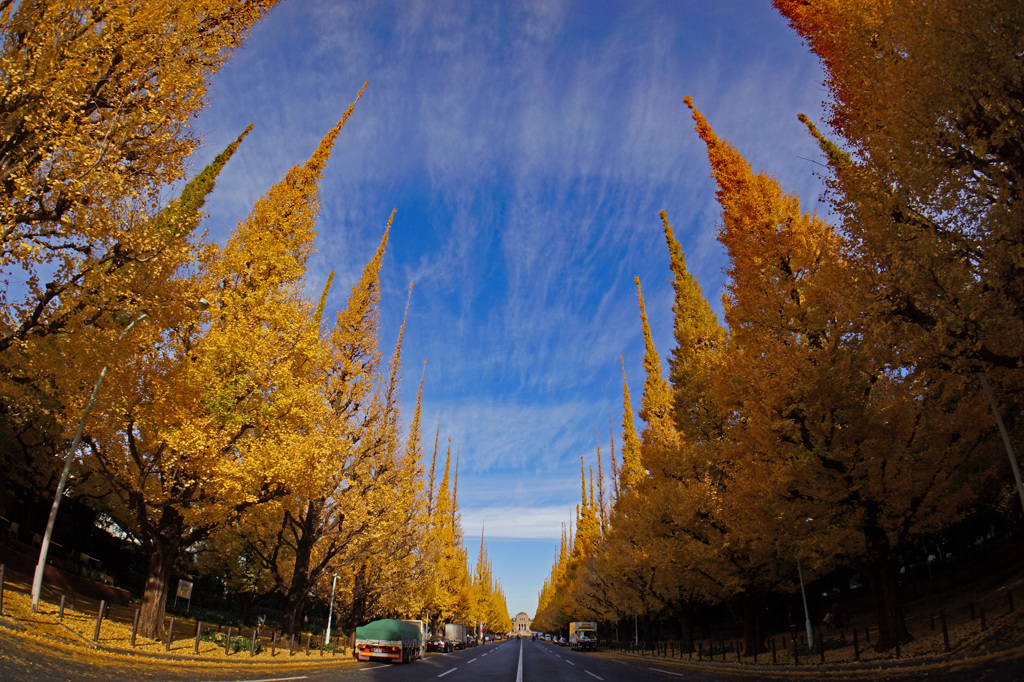 遠くに見えるのは