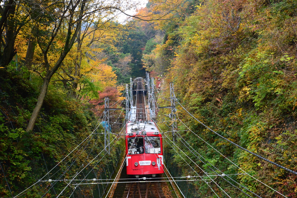 大山登山電車