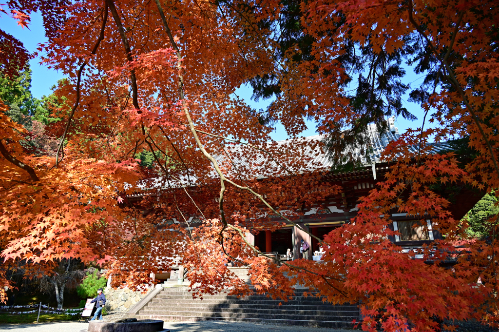 神護寺の秋