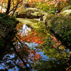 水辺に写る紅葉