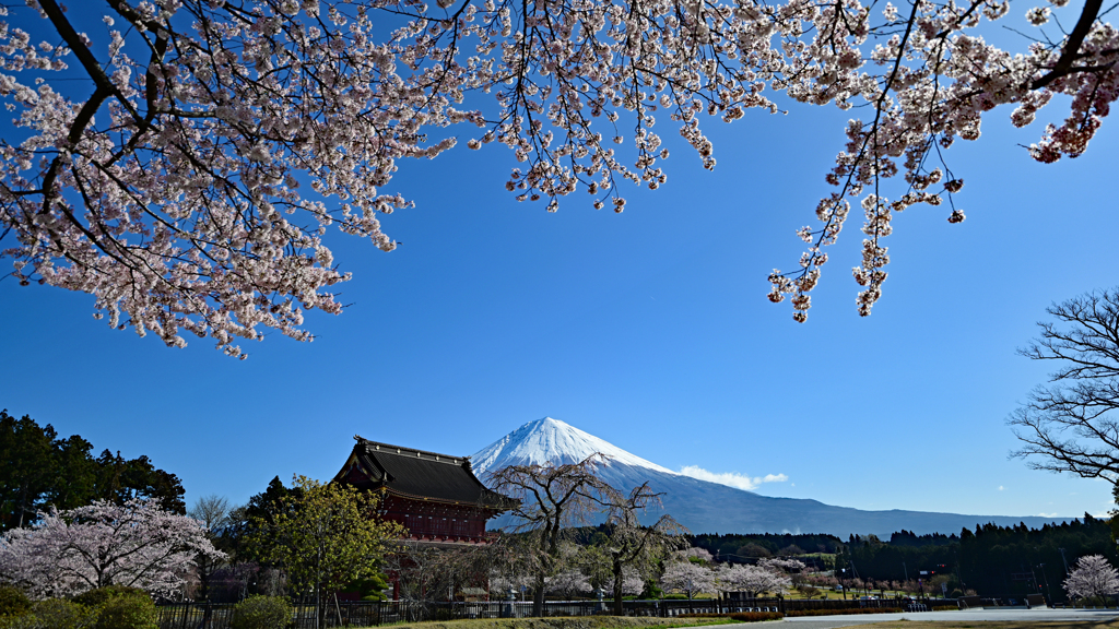 大石寺　三門