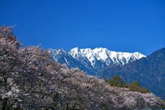 青空を見方に