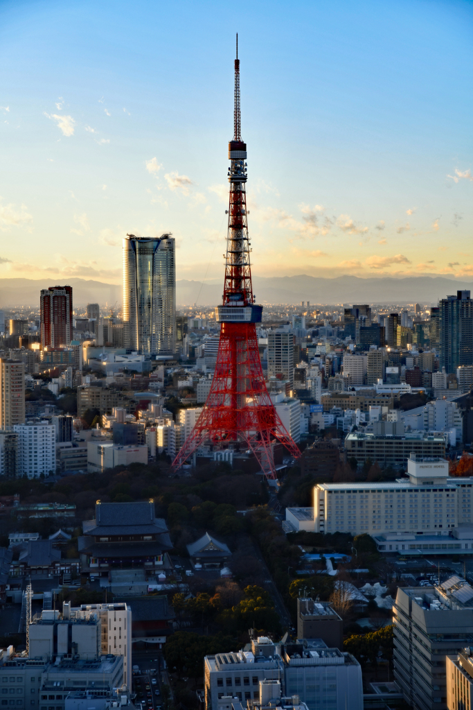 夕暮れの東京タワー