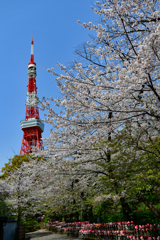 東京タワー