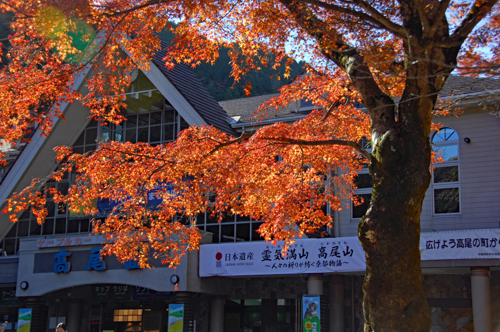 紅葉の高尾山駅