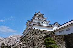 桜吹雪の鶴ヶ城