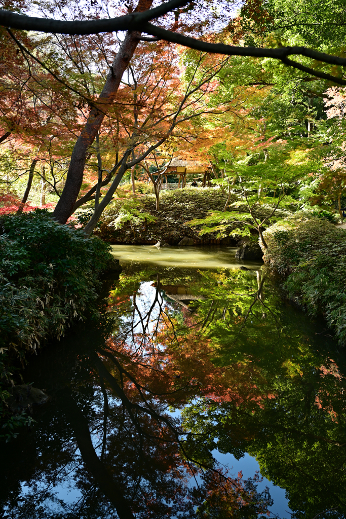 水面に映る紅葉