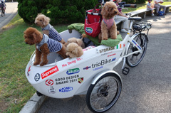 今日もみんなで