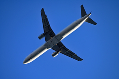 青空の飛行