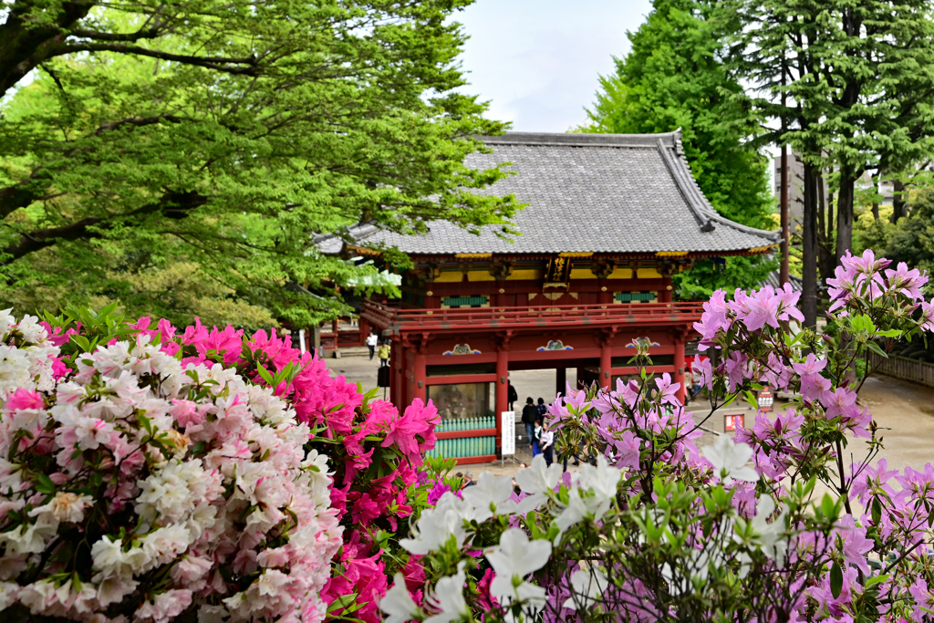 根津神社