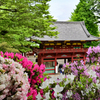 根津神社